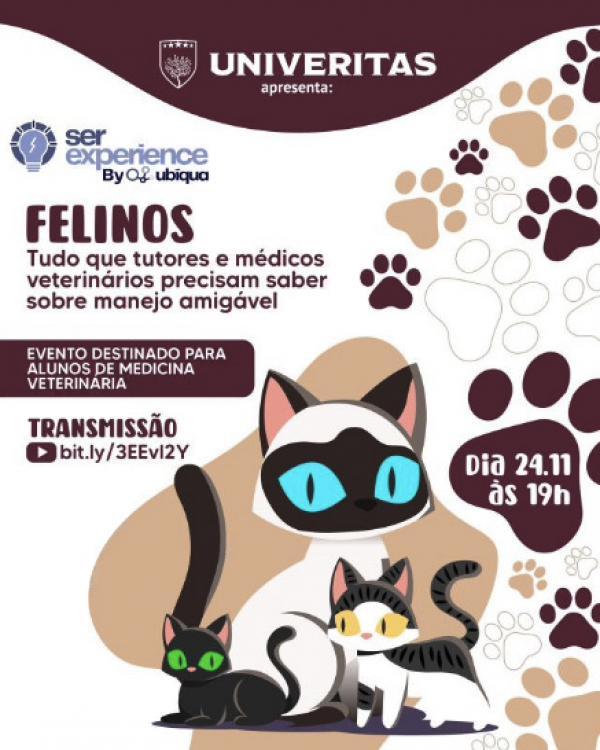 Evento explica como manter a saúde e o bem-estar dos gatos